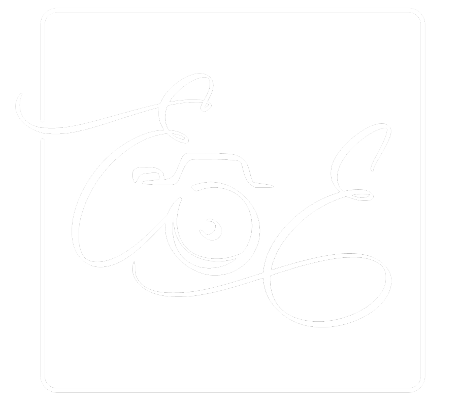 Edwin Logo